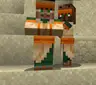 Actual Villagers