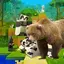 Bears Update