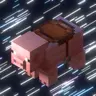 Pig Cannon Sync