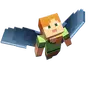 Flap