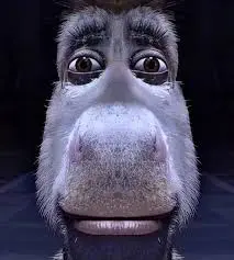 A Moledet Mod