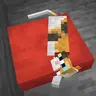 Cat Cushions