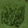 Kristihack's Bushes