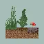 Growing Grass