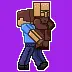 Grab Villager