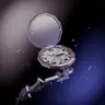 Tick Film