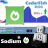 [雪松鱼翻译]Sodium-CN-Localization