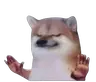 Stop Doge totem