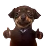 Nice Dog totem