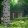 Khaojee Enchanted Visuals