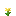 old yellow flower