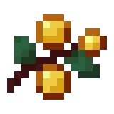 GSB - Golden Sweet Berries