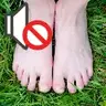 No Grass Footsteps