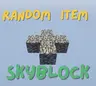 Damage=Random Item Skyblock Challenge