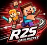 Race to Spawn Data Packet(R2S data packet)