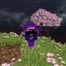 Sammy Purple