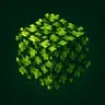 Lush Leaves