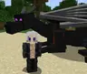 Dragon Mounts Legacy: Dragon Storage