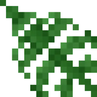 Nephrolepis