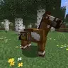 Horses With Chests