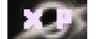 X-Performance