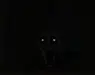 Stalked Experience