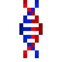 Gene Mutation