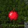 Apple Leaves