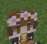 My totem in mc