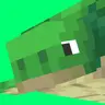 Fresh turtle