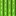 Sugar cane+