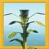 Wild Flora