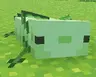 Wild to Green Axolotl