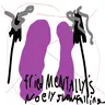 FriedMentally's Elytra Slowfalling Disabler