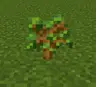 Despawn Events