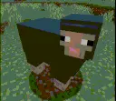 Sheep Spin