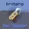 Bridge Tiertagger