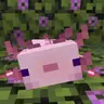 AxoTierstiertagger
