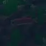 Josh's Dark Water