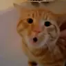 laowu meme