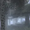 Dramatic Trees - Pale Bloom (Cleanroom Patch)