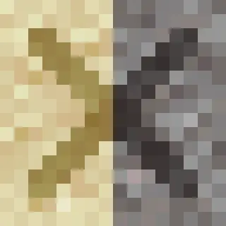 Sus Sand