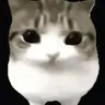 Dam Dam Di DI Di Cat totem