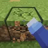 Block Motion