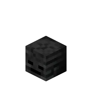 Playerless Wither Skeleton Skulls