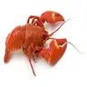 lobster lazuli