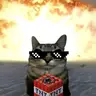 T4rds Overlay