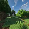 Background - Regular Forest