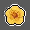 Wildflower Resource Pack