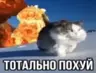 Orthodox Movement